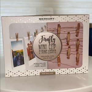 Mini String Lights- rose gold